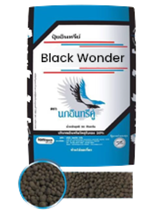 BLACK WONDER