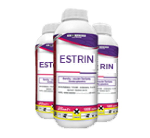 Estrin